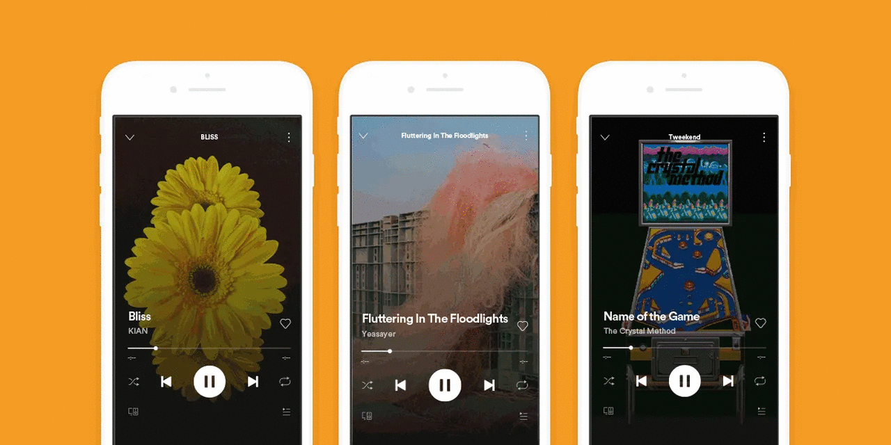 Announcing! DistroKid artists can upload looping videos to Spotify -  DistroKid News