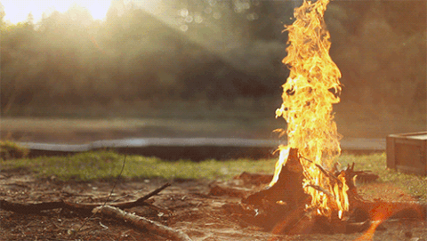 Flaming Words