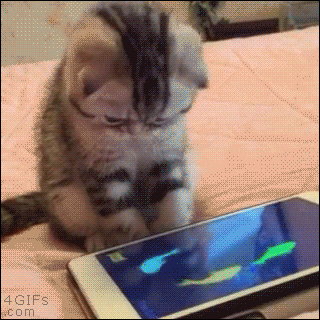 Top 10 Pets Influencers On Instagram By Camille Medium Top 10 Pets Influencers On Instagram By Camille Medium