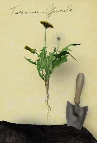 Image for post