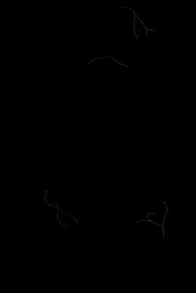 Image for post