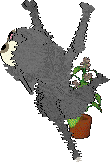 Image for post
