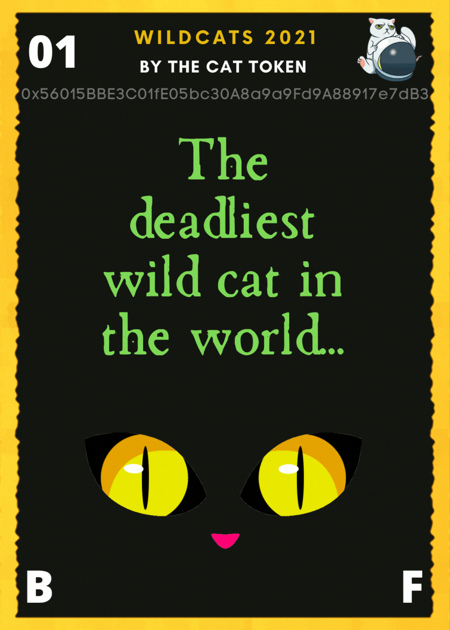 CAT Token Wildcat NFTs