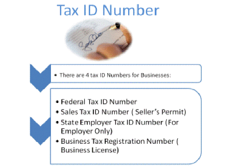 Do I Need A Federal Tax Identification Number? | By Federal Tax ...