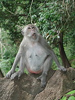 Image for post