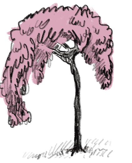 Image for post