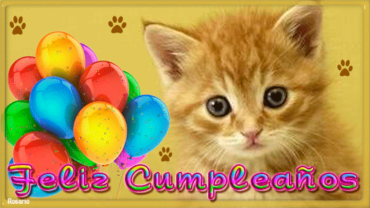 Mensaje de cumpleaños con imagen de un gatito. | by Tarjetas de cumpleaños  | Medium