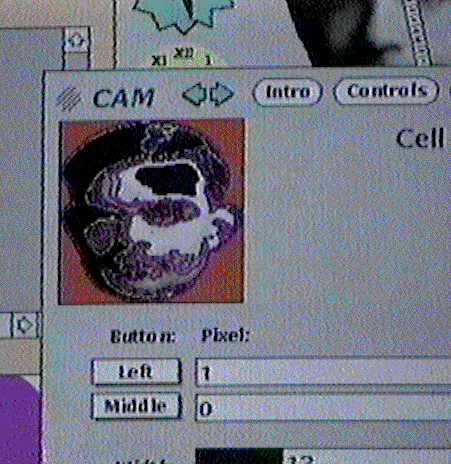 Image for post