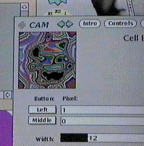 Image for post