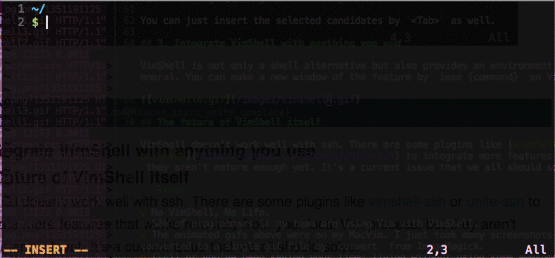 vimshell4