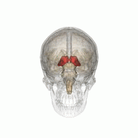 Image for post