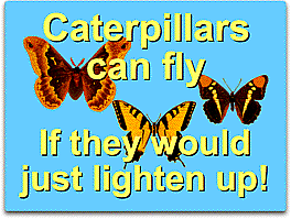 Caterpillars can fly lighten up round