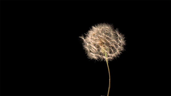 Image for post