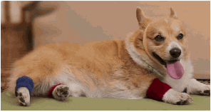 Image for post