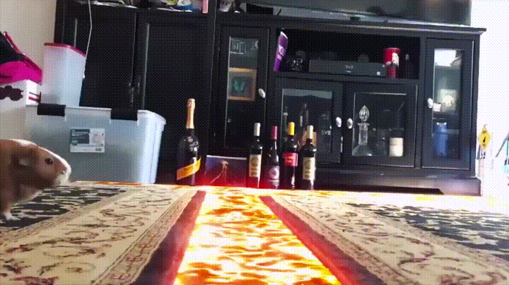 Floor GIF