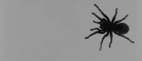 Image for post