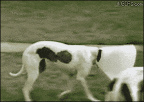 Image for post