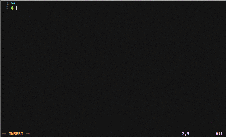 vimshell5