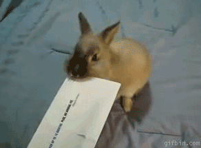 Image for post