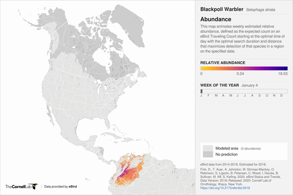 map of north and south america showing relative abundance of blackpoll warblers in a moving, colored gif