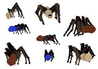 Image for post