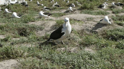 Image for post