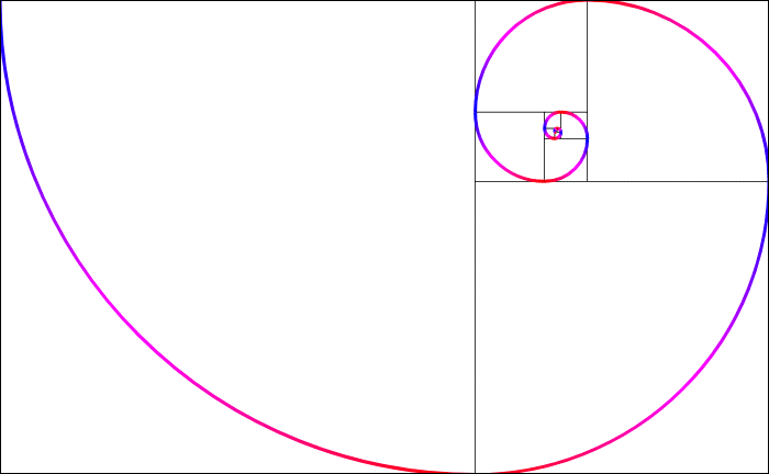 Golden spiral animation.