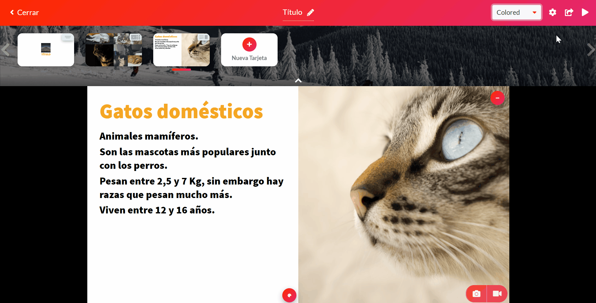 Opciones de diseño en Suift
