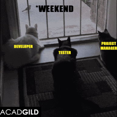 https://giphy.com/gifs/jerseydemic-l3q2KRkOVYvi8WfU4