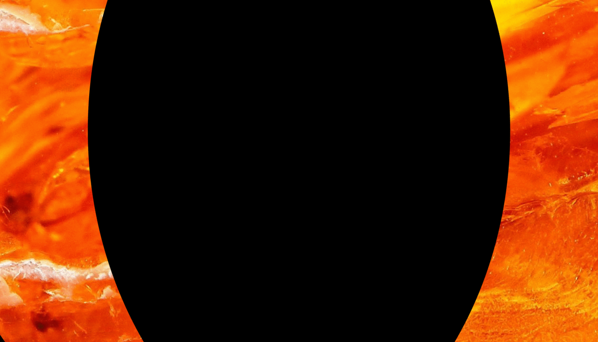 Image for post