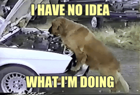 Image for post