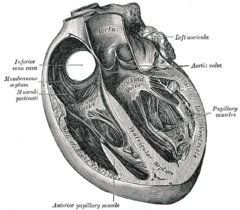Image for post