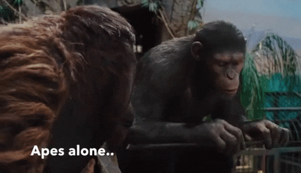 Apes alone…weak! Apes together…strong!