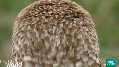 Image for post