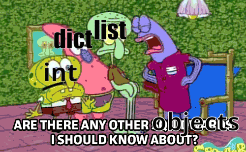 A scene from Spongebob, characters are labeled after data types. A lady exasperatedly asks if there are any other objects.