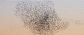 Image for post