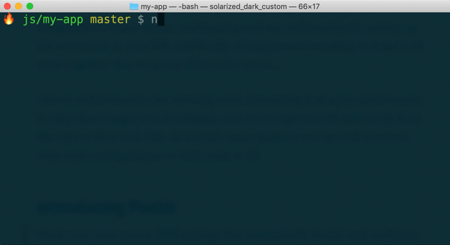 Installing Poetic NPM