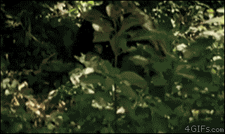 Image for post