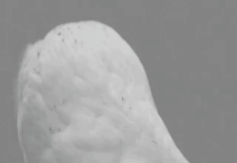 Image for post