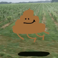 Image for post