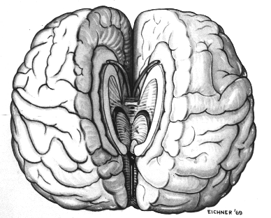 Image for post