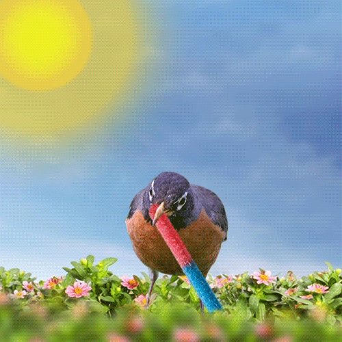 Image for post