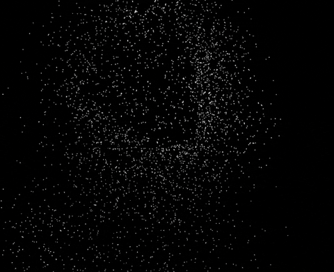 Image for post