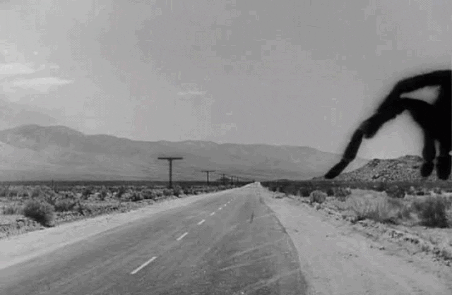 giant tarantula crossing a road