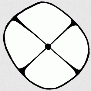 Image for post