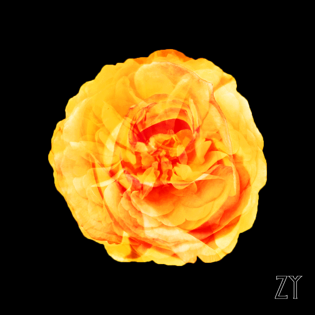 Image for post