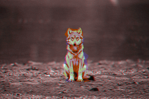 A trippy wolf as though someone was hallucinating one in front of them