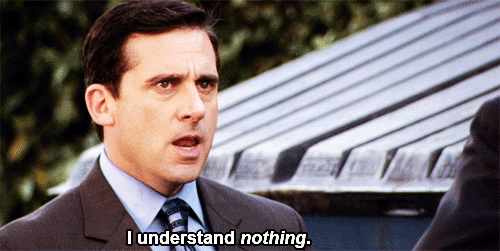 Steve Carrell Michael Scott The Office I understand nothing gif