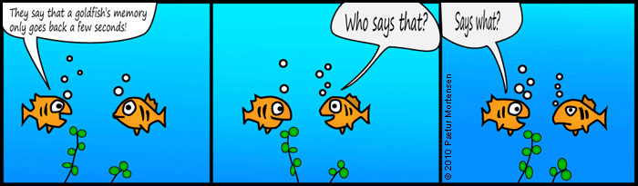 Goldfish friendly HTML Style For Angular By Stanislav Kucharik Medium