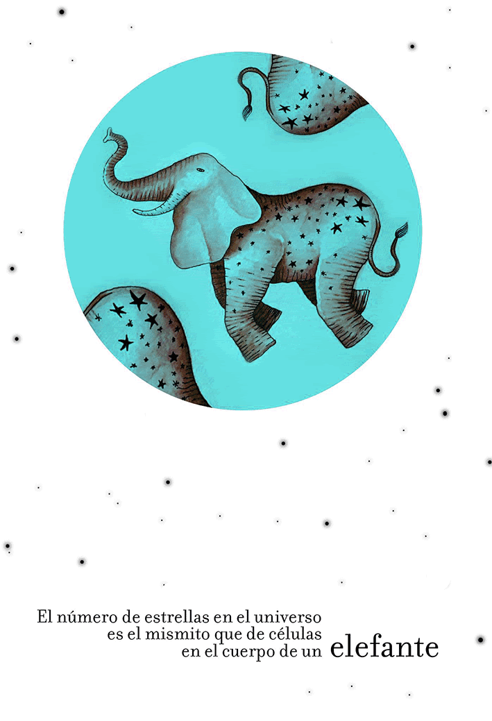 We Live In An Elephant The Number Of Stars In The Universe Is By we-live-in-an-elephant-the-number-of-stars-in-the-universe-is-by